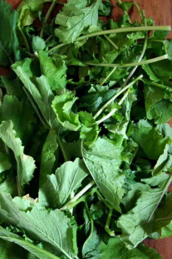 μουσταρδόφυλλα από την Olin-Fox Farms CSA