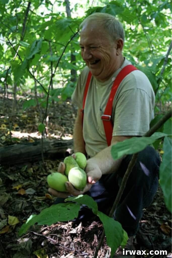 Κέικ Πάουπαου 7 Ο Sam Consylman κρατάει τέσσερα Pawpaw.