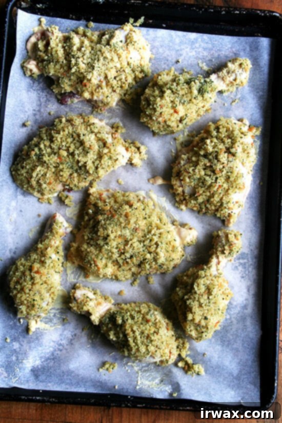 Κοτόπουλο Μουσταρδοψητό της Ίνα Γκάρτεν 6 Chicken thighs and drumsticks, coated with herbed bread crumbs, ready for the oven.