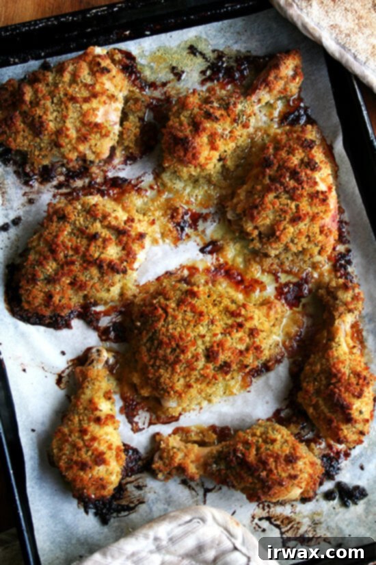 Κοτόπουλο Μουσταρδοψητό της Ίνα Γκάρτεν 7 Dijon mustard roasted bread crumb chicken just out of the oven.