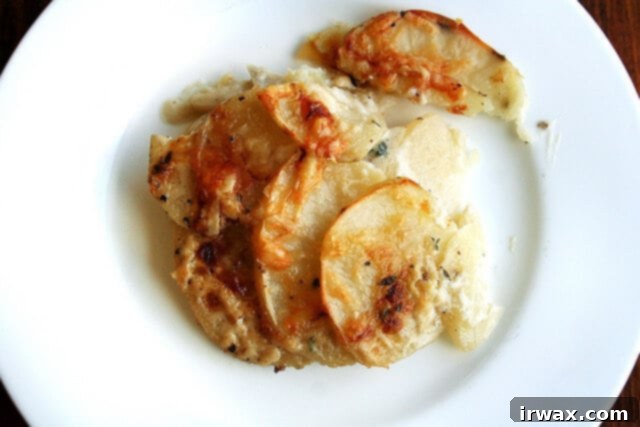 Το Πατατογρατέν της Alice Waters 13 Πιάτο με gratin πατάτας.