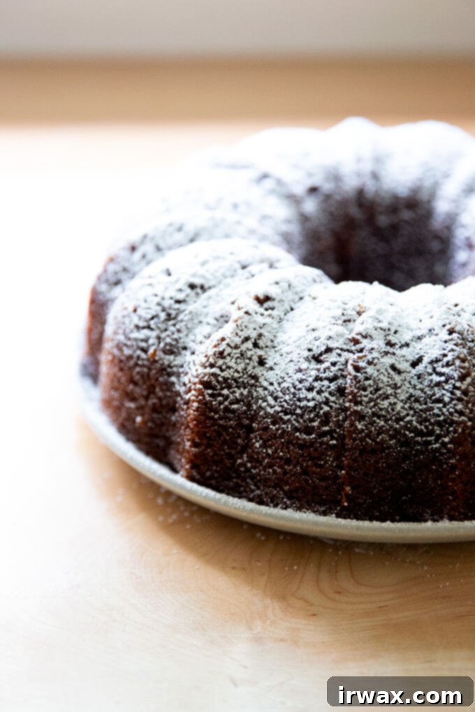 Ζουμερό Κέικ Μήλου 10 Κέικ bundt μήλου πασπαλισμένο με ζάχαρη άχνη.