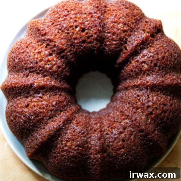 Ζουμερό Κέικ Μήλου 18 Μόλις ψημένο κέικ Bundt μήλου σε πιατέλα.