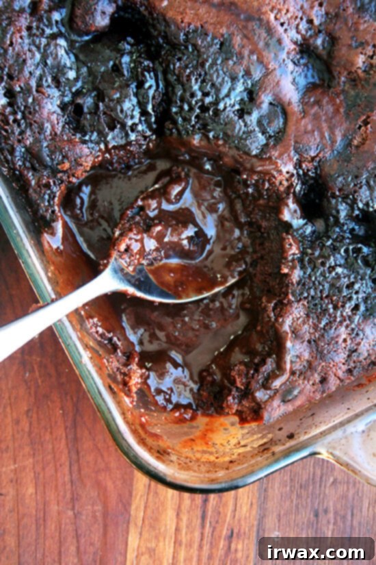 Το Chocolate Eclipse είναι ένα κέικ-πουτίγκα που χορταίνει πολύ κόσμο. Στο φούρνο, το στρώμα της πουτίγκας βυθίζεται στον πάτο και το κέικ ανεβαίνει στην κορυφή, αναδύοντας μια επιφάνεια με βαθιές, πλούσιες σοκολατένιες κρατήρες. Όταν αναποδογυρίζεται σε μπολ σερβιρίσματος, η ενσωματωμένη σάλτσα fudge γίνεται το επάνω μέρος, και ενώ μια μπάλα παγωτό βανίλια θα πρόσφερε μια απόλυτη εμπειρία, αυτό το κέικ-πουτίγκα είναι απίστευτα νόστιμο και από μόνο του. // alexandracooks.com Το Chocolate Eclipse είναι ένα κέικ-πουτίγκα που χορταίνει πολύ κόσμο. Στο φούρνο, το στρώμα της πουτίγκας βυθίζεται στον πάτο και το κέικ ανεβαίνει στην κορυφή, αναδύοντας μια επιφάνεια με βαθιές, πλούσιες σοκολατένιες κρατήρες. Όταν αναποδογυρίζεται σε μπολ σερβιρίσματος, η ενσωματωμένη σάλτσα fudge γίνεται το επάνω μέρος, και ενώ μια μπάλα παγωτό βανίλια θα πρόσφερε μια απόλυτη εμπειρία, αυτό το κέικ-πουτίγκα είναι απίστευτα νόστιμο και από μόνο του. // alexandracooks.com
