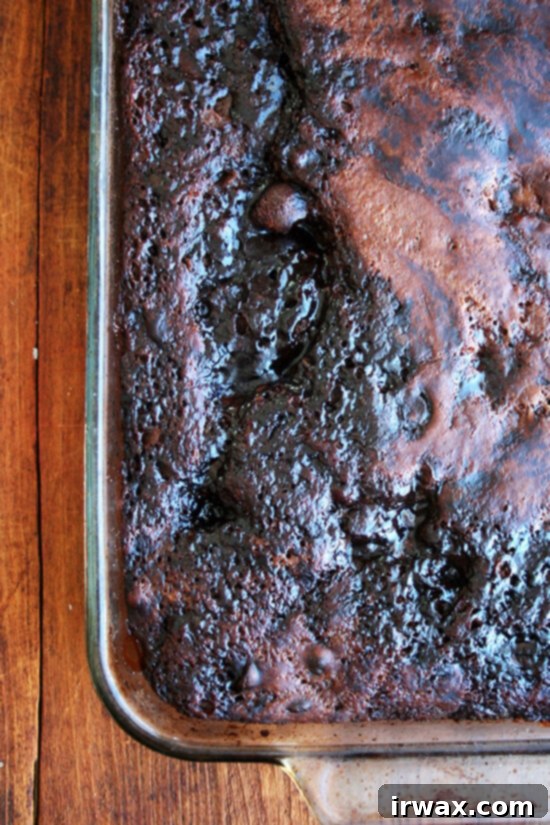 Η Σοκολατένια Έκλειψη 9 μόλις ψημένο κέικ chocolate eclipse