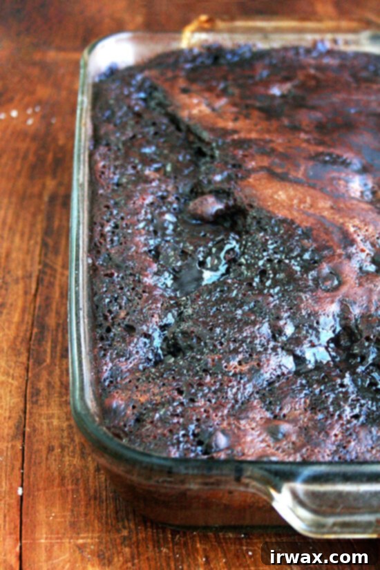 Η Σοκολατένια Έκλειψη 10 μόλις ψημένο κέικ chocolate eclipse