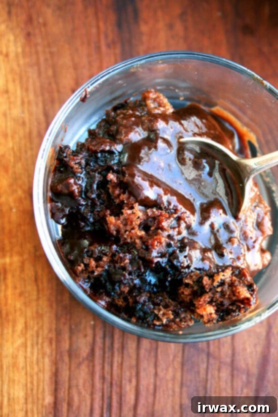 Το Chocolate Eclipse είναι ένα κέικ-πουτίγκα που χορταίνει πολύ κόσμο. Στο φούρνο, το στρώμα της πουτίγκας βυθίζεται στον πάτο και το κέικ ανεβαίνει στην κορυφή, αναδύοντας μια επιφάνεια με βαθιές, πλούσιες σοκολατένιες κρατήρες. Όταν αναποδογυρίζεται σε μπολ σερβιρίσματος, η ενσωματωμένη σάλτσα fudge γίνεται το επάνω μέρος, και ενώ μια μπάλα παγωτό βανίλια θα πρόσφερε μια απόλυτη εμπειρία, αυτό το κέικ-πουτίγκα είναι απίστευτα νόστιμο και από μόνο του. // alexandracooks.com Το Chocolate Eclipse είναι ένα κέικ-πουτίγκα που χορταίνει πολύ κόσμο. Στο φούρνο, το στρώμα της πουτίγκας βυθίζεται στον πάτο και το κέικ ανεβαίνει στην κορυφή, αναδύοντας μια επιφάνεια με βαθιές, πλούσιες σοκολατένιες κρατήρες. Όταν αναποδογυρίζεται σε μπολ σερβιρίσματος, η ενσωματωμένη σάλτσα fudge γίνεται το επάνω μέρος, και ενώ μια μπάλα παγωτό βανίλια θα πρόσφερε μια απόλυτη εμπειρία, αυτό το κέικ-πουτίγκα είναι απίστευτα νόστιμο και από μόνο του. // alexandracooks.com