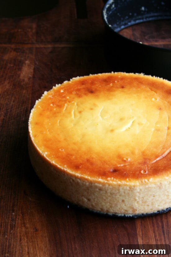 Τσιζκέικ με Λεμόνι και Ρικότα 11 Μόλις ψημένο cheesecake λεμόνι- ρικότα με την εξωτερική στεφάνη της φόρμας με ελατήριο απελευθερωμένη.