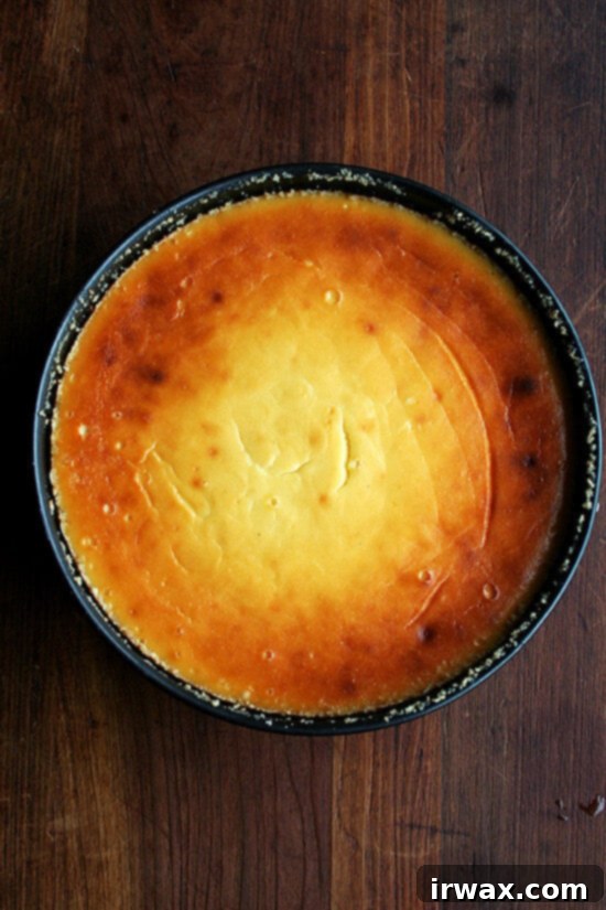 Τσιζκέικ με Λεμόνι και Ρικότα 10 Μόλις ψημένο cheesecake λεμόνι- ρικότα.