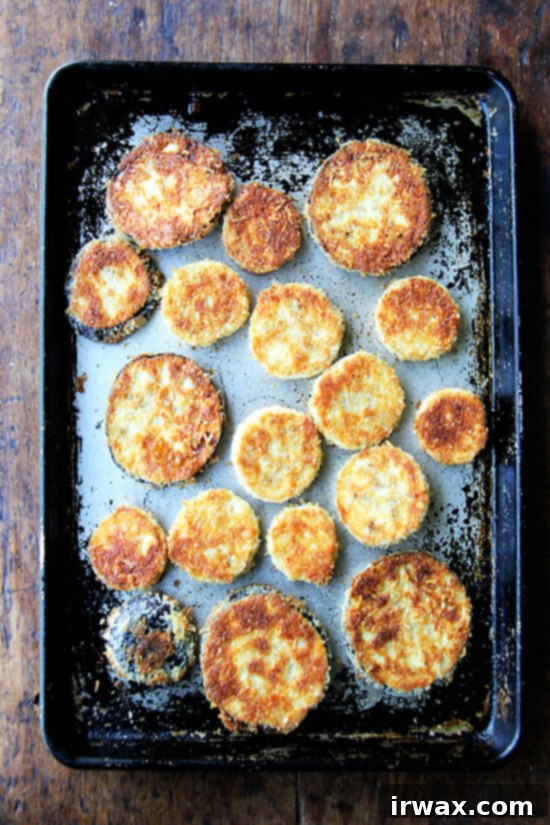 Τραγανή Μελιτζάνα Panko 6 Μόλις ψημένες παναρισμένες ροδέλες μελιτζάνας σε ταψί