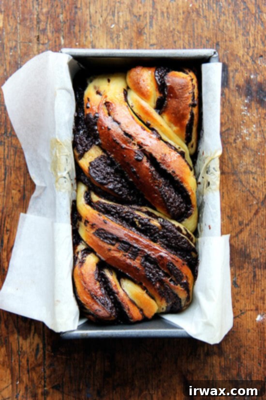 Λατρεύω αυτό το υβριδικό babka — δεν μπορώ να σταματήσω να το τρώω! — και μόλις τελειώσω το υπόλοιπο καρβέλι στον πάγκο μου, θα κλειδώσω όλα τα άλευρα και τα διογκωτικά μου και τη σοκολάτα, και θα βάλω ένα τέλος σε αυτή τη μανία ψησίματος μια για πάντα! // alexandracooks.com Άποψη από ψηλά μιας φρεσκοψημένης babka.