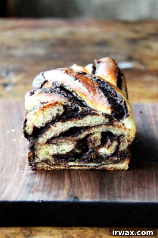 Λατρεύω αυτό το υβριδικό babka — δεν μπορώ να σταματήσω να το τρώω! — και μόλις τελειώσω το υπόλοιπο καρβέλι στον πάγκο μου, θα κλειδώσω όλα τα άλευρα και τα διογκωτικά μου και τη σοκολάτα, και θα βάλω ένα τέλος σε αυτή τη μανία ψησίματος μια για πάντα! // alexandracooks.com Κομμένο καρβέλι babka, που αποκαλύπτει τις στρώσεις σοκολάτας και πορτοκαλιού.