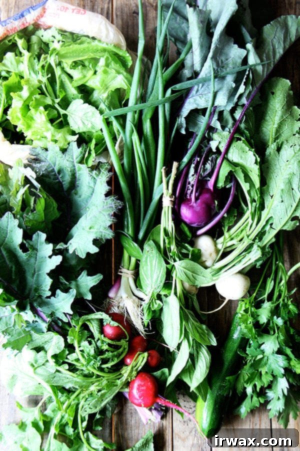 Κολοράμπι Τουρσί 2 Συγκομιδή CSA από τη Roxbury Farm, Εβδομάδα 1