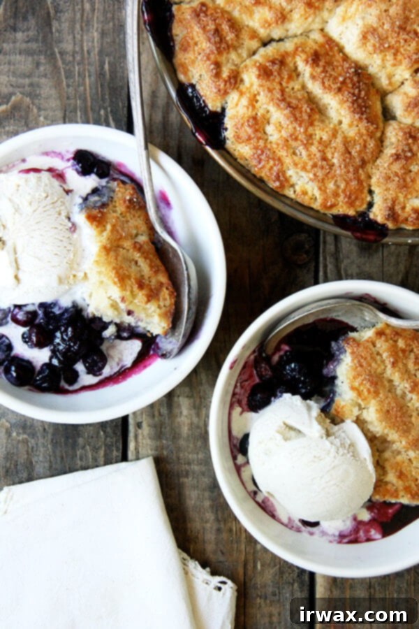 Η ιδέα πίσω από αυτό το cobbler με μύρτιλα είναι ότι η έντονη θερμότητα από τα ζουμερά, κοχλάζοντα μύρτιλα βοηθά στο ψήσιμο της κάτω πλευράς των μπισκότων, ενώ η υψηλότερη θερμοκρασία του φούρνου ροδίζει τέλεια την κορυφή. Το αποτέλεσμα; Ένα ομοιόμορφα ψημένο — όχι στεγνό! — τρυφερό, χρυσαφένιο μπισκότο. // alexandracooks.com Μπολ με cobbler μύρτιλου και παγωτό βανίλια.