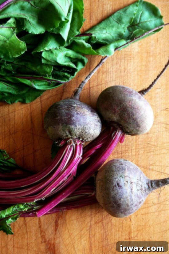 Beets Φρεσκοψημένα παντζάρια, έτοιμα για σερβίρισμα.