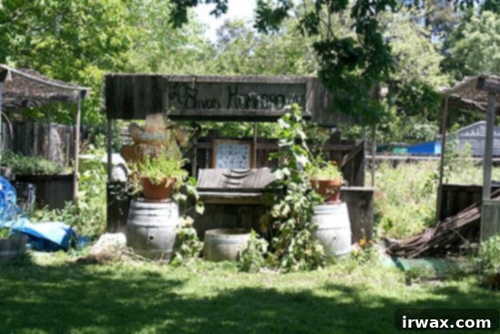 Γραφική θέα στο Los Olivos Γραφική θέα στο Los Olivos