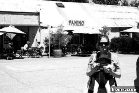 Εστιατόριο Panino στο Los Olivos Εστιατόριο Panino στο Los Olivos