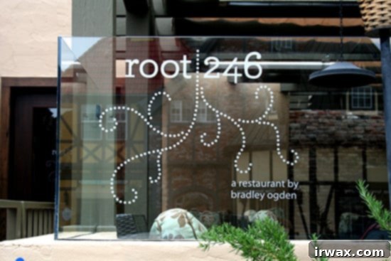 Εστιατόριο root 246 Εστιατόριο root 246