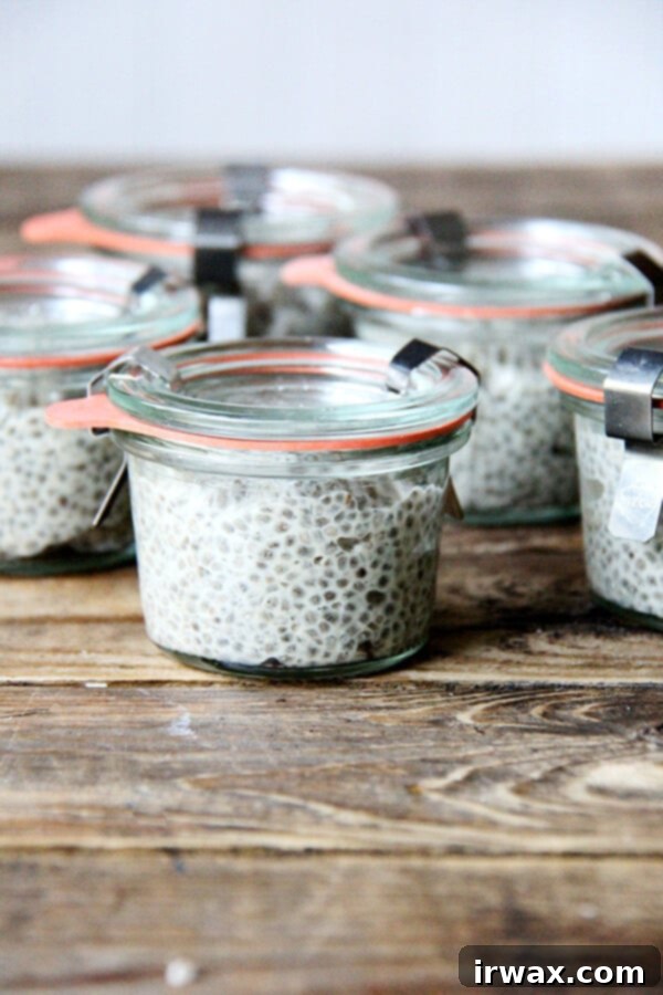 Αυτή η vegan πουτίγκα chia, φτιαγμένη με γάλα κάσιους, σιρόπι σφενδάμου και βανίλια, έχει τόσο νόστιμη γεύση όσο όταν φτιάχνεται με πλήρες γάλα. // alexandracooks.com Αυτή η vegan πουτίγκα chia, φτιαγμένη με γάλα κάσιους, σιρόπι σφενδάμου και βανίλια, έχει τόσο νόστιμη γεύση όσο όταν φτιάχνεται με πλήρες γάλα. // alexandracooks.com