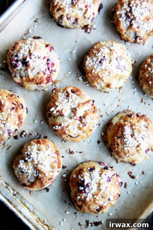Αυτά τα scones κράνμπερι είναι μια απολαυστική χριστουγεννιάτικη λιχουδιά που είναι χορταστική, όμορφη και τόσο εύκολη στην παρασκευή! // alexandracooks.com Μια πανοραμική φωτογραφία ενός δίσκου με φρεσκοψημένα scones κράνμπερι.