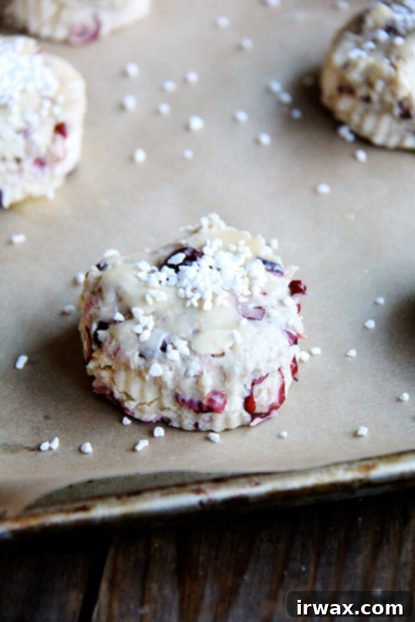 Αυτά τα scones κράνμπερι είναι μια απολαυστική χριστουγεννιάτικη λιχουδιά που είναι χορταστική, όμορφη και τόσο εύκολη στην παρασκευή! // alexandracooks.com Ένας δίσκος με άψητα scones κράνμπερι, πασπαλισμένα με χοντρή ζάχαρη.