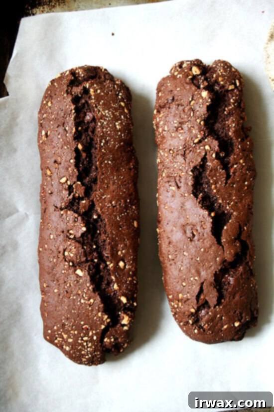 Σοκολατένια Biscotti, άκοπα Σοκολατένια Biscotti, άκοπα
