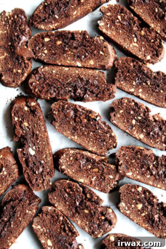 Αυτά τα σοκολατένια biscotti είναι θεϊκά. Τέλεια γλυκά. Όχι πολύ σκληρά. Τραγανά. Μαλακά. Όχι πολύ μαλακά. Γεμάτα σοκολάτα και στολισμένα με αμύγδαλα. Ένα τέλειο συνοδευτικό για ένα φλιτζάνι καφέ. // alexandracooks.com Αυτά τα σοκολατένια biscotti είναι θεϊκά. Τέλεια γλυκά. Όχι πολύ σκληρά. Τραγανά. Μαλακά. Όχι πολύ μαλακά. Γεμάτα σοκολάτα και στολισμένα με αμύγδαλα. Ένα τέλειο συνοδευτικό για ένα φλιτζάνι καφέ. Είμαι πεπεισμένος ότι δεν υπάρχει καλύτερος τρόπος να ξεκινήσετε το πρωί (και το μεσημέρι και το απόγευμα και νωρίς το βράδυ, κ.λπ.).