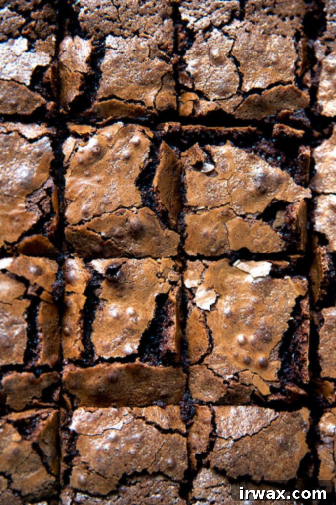 Αξεπέραστα Σπιτικά Brownies: Ζουμερά με Λαμπερή Επιφάνεια 2 Πλούσια, μαστιχωτά μπράουνις.
