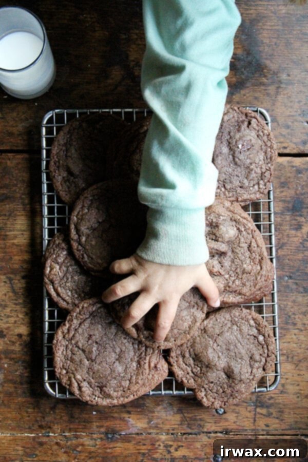 Αυτά τα διπλά σοκολατένια cookies είναι πολύ νόστιμα. Τα σχηματισμένα μπαλάκια μπορούν να διατηρηθούν για μέρες στο ψυγείο σε μια σακούλα ziplock ή αεροστεγές δοχείο. // alexandracooks.com Αυτά τα διπλά σοκολατένια cookies είναι πολύ νόστιμα. Τα σχηματισμένα μπαλάκια μπορούν να διατηρηθούν για μέρες στο ψυγείο σε μια σακούλα ziplock ή αεροστεγές δοχείο. // alexandracooks.com