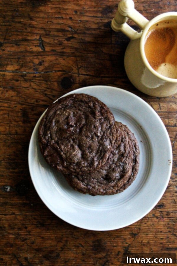 Αυτά τα διπλά σοκολατένια cookies είναι πολύ νόστιμα. Τα σχηματισμένα μπαλάκια μπορούν να διατηρηθούν για μέρες στο ψυγείο σε μια σακούλα ziplock ή αεροστεγές δοχείο. // alexandracooks.com Αυτά τα διπλά σοκολατένια cookies είναι πολύ νόστιμα. Τα σχηματισμένα μπαλάκια μπορούν να διατηρηθούν για μέρες στο ψυγείο σε μια σακούλα ziplock ή αεροστεγές δοχείο. // alexandracooks.com