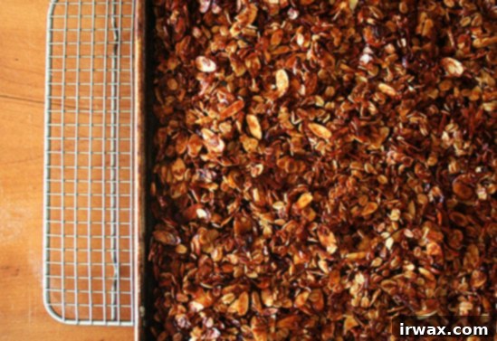 granola4 granola4