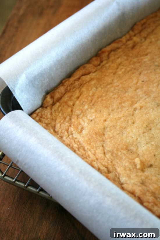 μόλις βγήκε από το φούρνο... μμμμ Μόλις ψημένο shortbread δεντρολίβανου ακόμα στο ταψί.