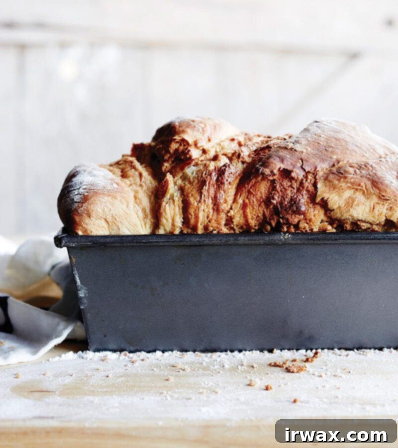 Bread Toast Crumbs is the definitive bread-baking cookbook for a new generation. But this book isn’t just about baking bread-- it’s about what to do with the slices and heels and nubs from those many loaves you’ll bake. // alexandracooks.com Bread Toast Crumbs is the definitive bread-baking cookbook for a new generation. But this book isn’t just about baking bread-- it’s about what to do with the slices and heels and nubs from those many loaves you’ll bake. // alexandracooks.com