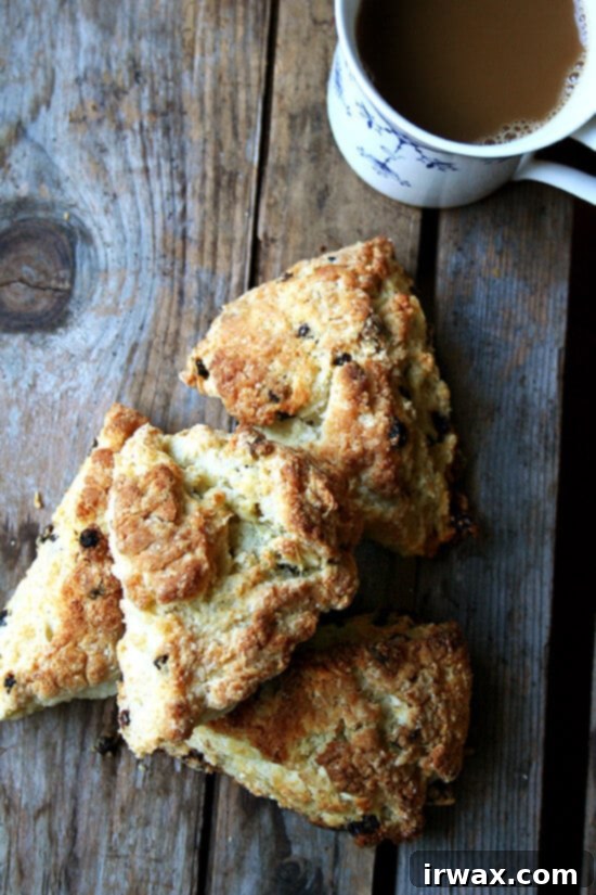Scones Βουτυρογάλακτος με Φραγκοστάφυλα: Η κλασική συνταγή του Tartine Bakery για ένα ζεστό ξεκίνημα της ημέρας. Σπιτικά scones με βουτυρόγαλα και φραγκοστάφυλα, μια συνταγή του Tartine Bakery, ιδανικά για ένα κρύο φθινοπωρινό πρωινό.