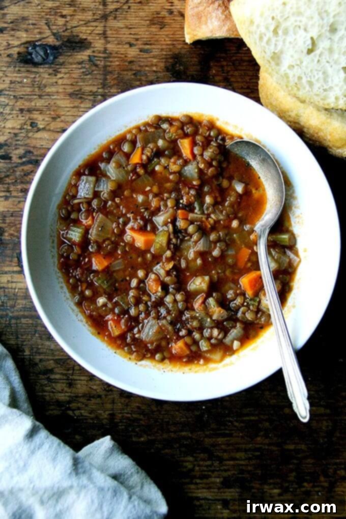 Για να φτιάξετε αυτή τη vegan σούπα φακής, ρίξτε τα πάντα σε μια κατσαρόλα και σιγοβράστε για μία ώρα. Αυτή η σούπα έχει μια ωραία, ξιδάτη νότα και γίνεται καλύτερη μέρα με τη μέρα. Σούπα + ψωμί: τι άλλο χρειαζόμαστε; // alexandracooks.com Ένα μπολ με vegan, μονοκατσαρολική σούπα φακής.