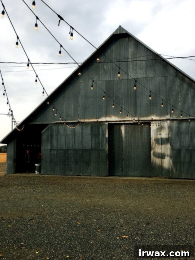 Η Καλιφορνέζικη Ελαιοκομιδή του 2017 με την California Olive Ranch 9 img 48369 10