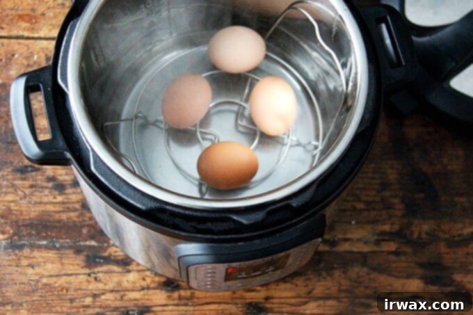 Άψογα Μελάτα Αυγά στη Χύτρα Ταχύτητας 4 Το Instant Pot με το καπάκι του ανοιχτό μετά την πάροδο των 3 λεπτών.