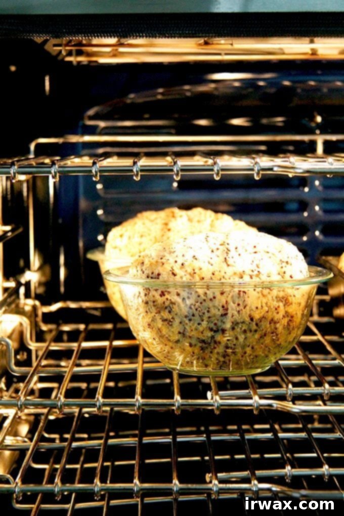 Φρυγανιστό Ψωμί Κινόας και Λιναρόσπορου 15 quinoa-flax bread in bowl baking in oven