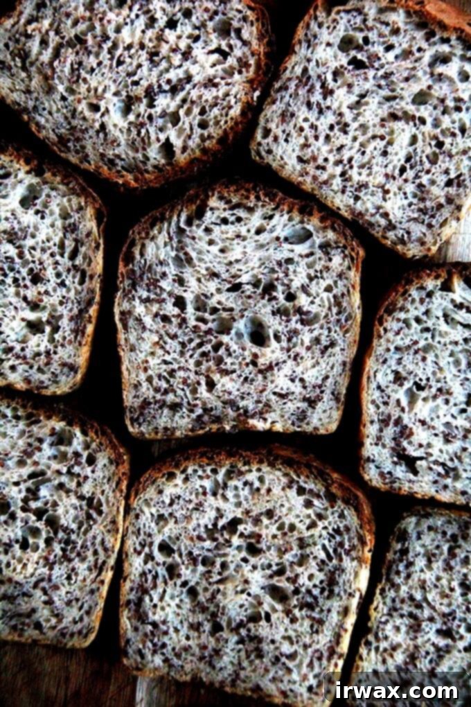 Φρυγανιστό Ψωμί Κινόας και Λιναρόσπορου 22 Slices of toasted quinoa-flax bread