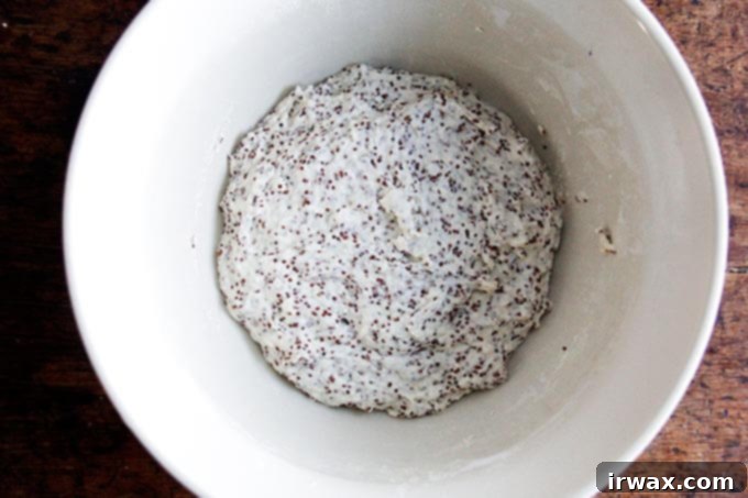 Φρυγανιστό Ψωμί Κινόας και Λιναρόσπορου 4 quinoa-flax dough all mixed up