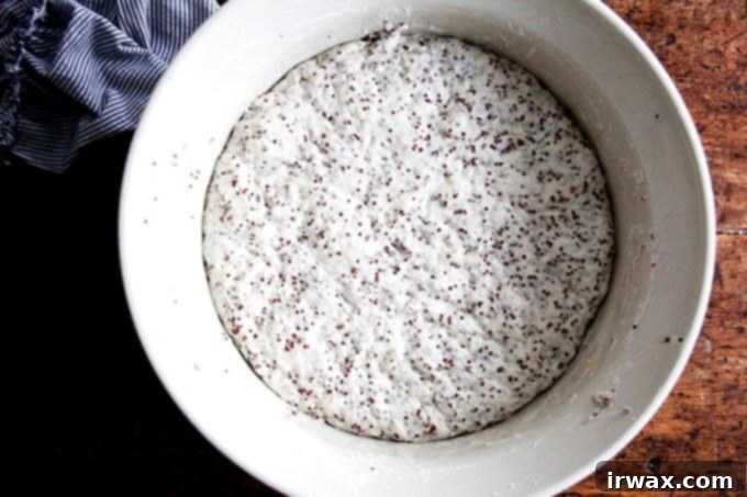 Φρυγανιστό Ψωμί Κινόας και Λιναρόσπορου 5 A bowl of quinoa-flax dough, risen.