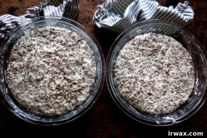Φρυγανιστό Ψωμί Κινόας και Λιναρόσπορου 10 quinoa-flax dough rising in bowls