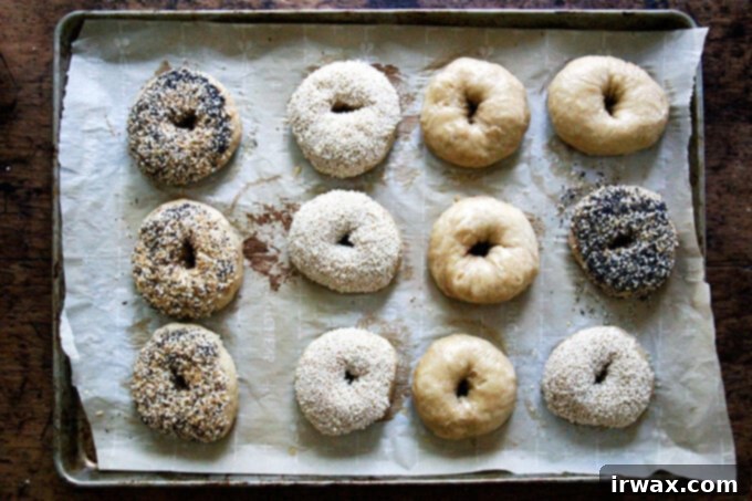 Πανεύκολα Μαστιχωτά Σπιτικά Μπέιγκελς 17 Bagels επικαλυμμένα με σπόρους.
