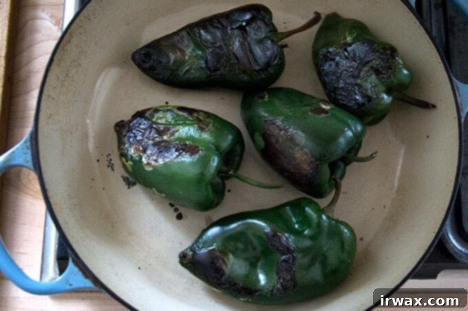 Ψητές πιπεριές Poblano γεμιστές με καλαμπόκι, κινόα και τυρί Monterey Jack 5 Καψαλισμένες πιπεριές Poblano σε τηγάνι.