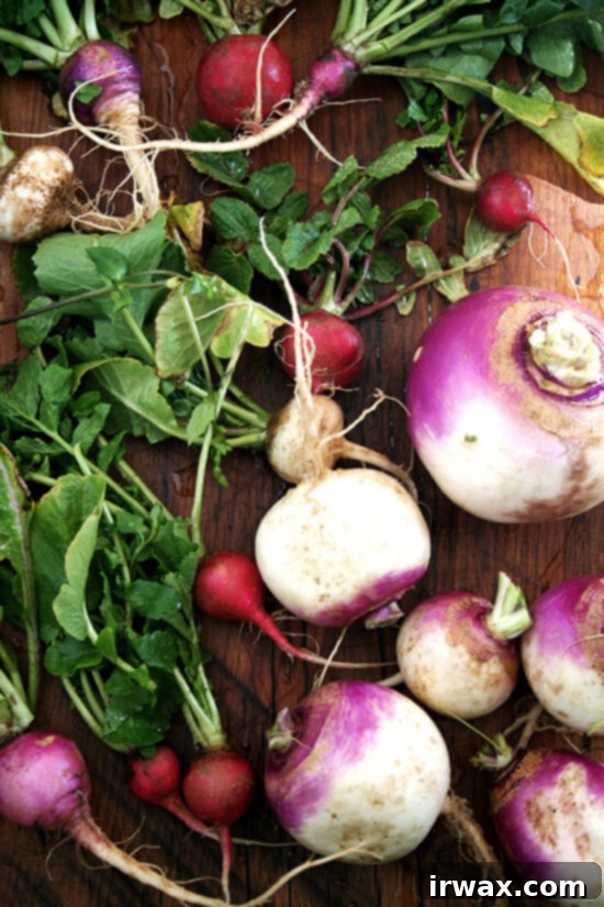 radishes and turnips radishes and turnips