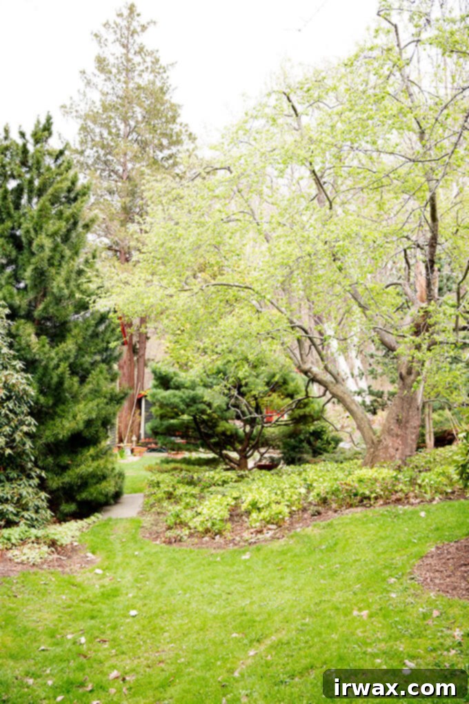 Ο Μαγικός Κήπος της Μάργκαρετ Ρόουτς 6 Margaret Roach's garden