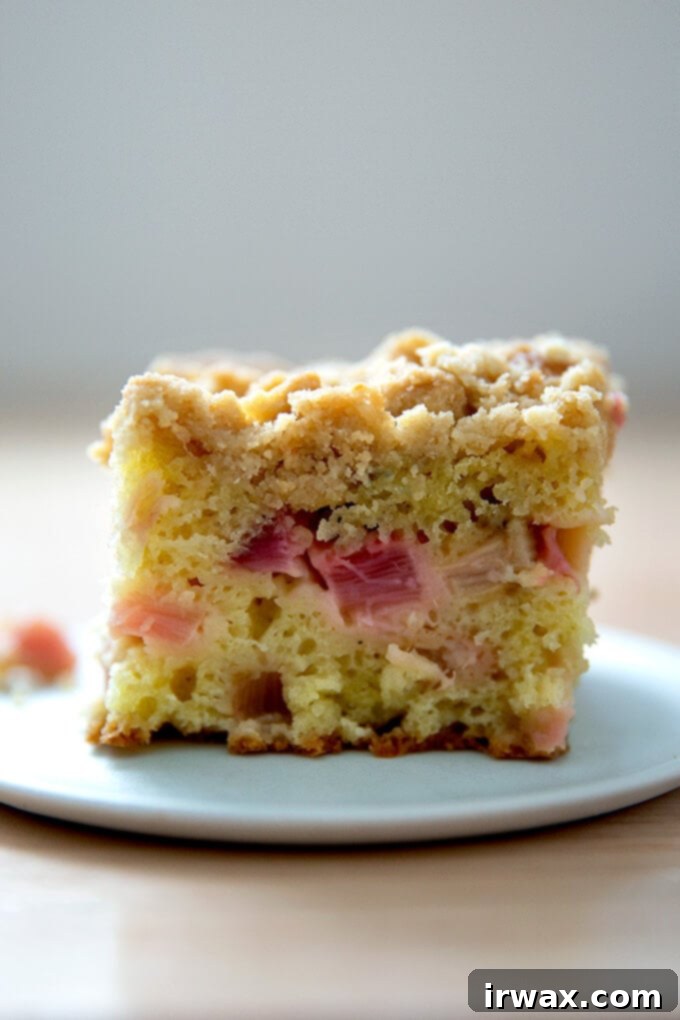 Ραβέντι της Γιαγιάς 2 Rhubarb buckle σε πιάτο.