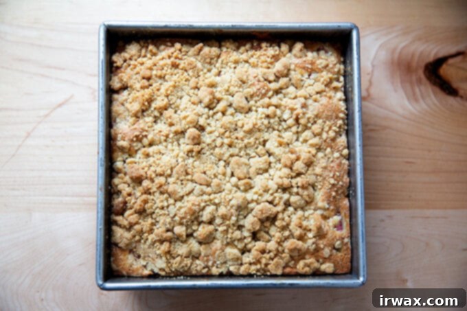 Ραβέντι της Γιαγιάς 11 Μόλις ψημένο rhubarb buckle.