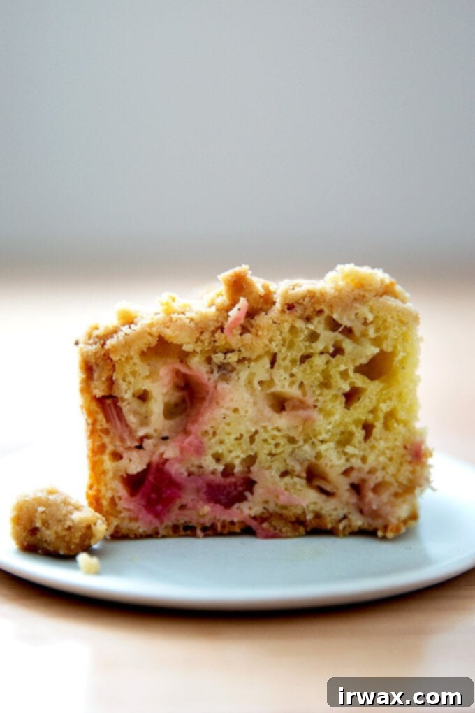 Ραβέντι της Γιαγιάς 12 Rhubarb buckle σε πιάτο.