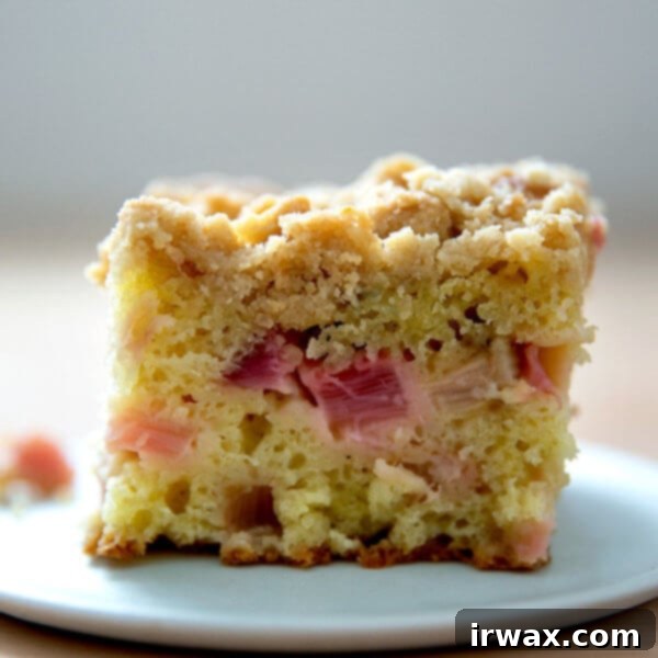 Ραβέντι της Γιαγιάς 13 Rhubarb buckle σε πιάτο.